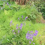 B&B Wild Atlantic View Inishowen 그린캐슬