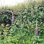 Wild Atlantic View Inishowen B&B
