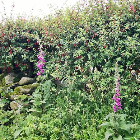 Wild Atlantic View Inishowen Bed and breakfast