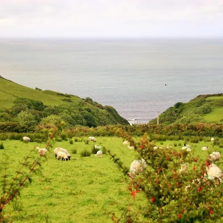 Wild Atlantic View Inishowen 4*