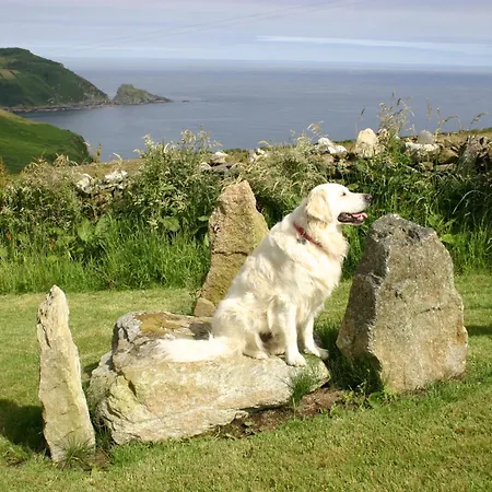 Bed and breakfast Wild Atlantic View Inishowen
