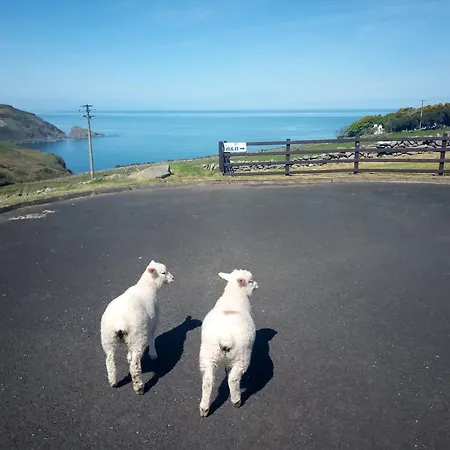 Bed & Breakfast Wild Atlantic View Inishowen