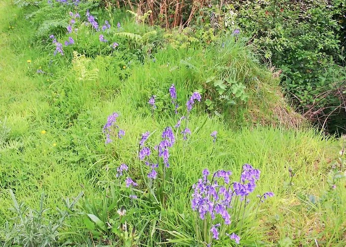 住宿加早餐酒店 Wild Atlantic View Inishowen 格林卡斯尔