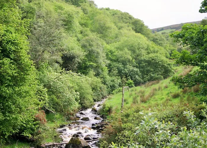 ベッド・アンド・ブレックファスト Wild Atlantic View Inishowen