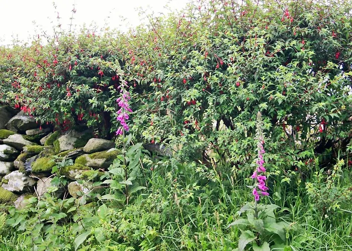 Wild Atlantic View Inishowen 住宿加早餐酒店