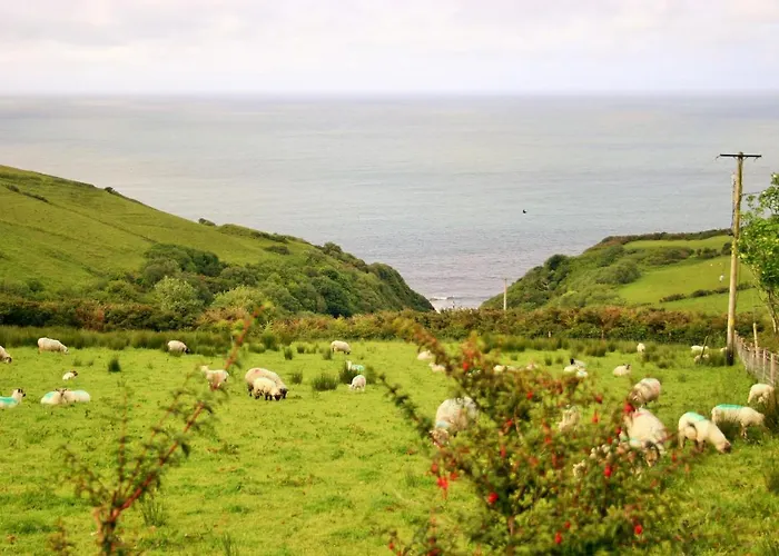 Wild Atlantic View Inishowen 4*