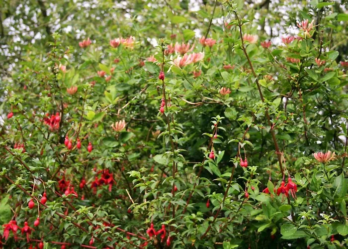 Bed & Breakfast Wild Atlantic View Inishowen