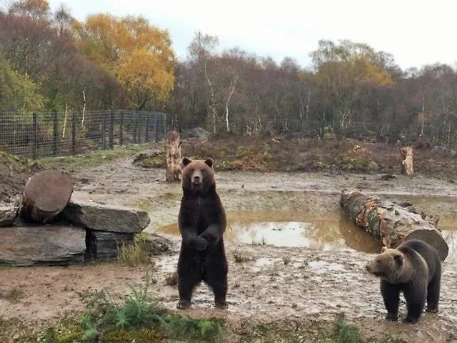 Wild Atlantic View Inishowen 住宿加早餐酒店 格林卡斯尔