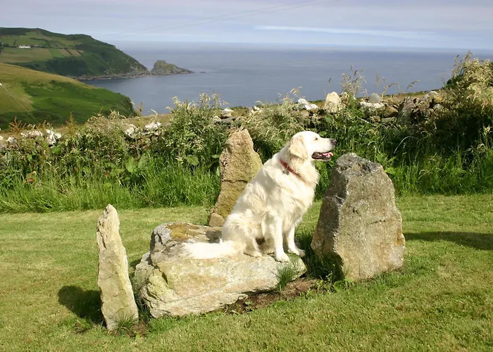 ベッド・アンド・ブレックファスト Wild Atlantic View Inishowen