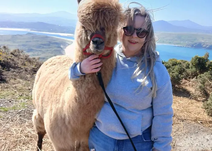 Wild Atlantic View Inishowen 4*