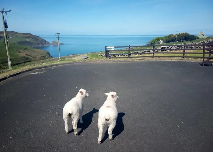 Panzió Wild Atlantic View Inishowen